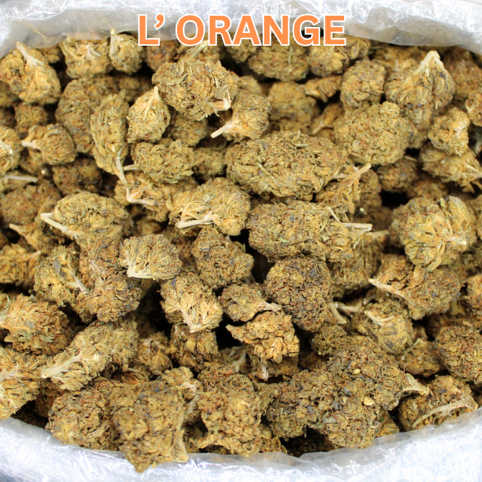 Cheap THCA Flower Ounce