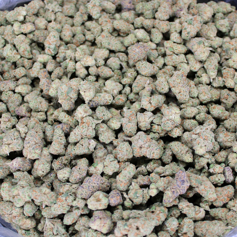 L'Orange Exotic THCA Flower