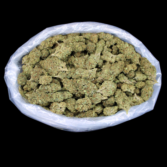 Lambo OG THCA Flower