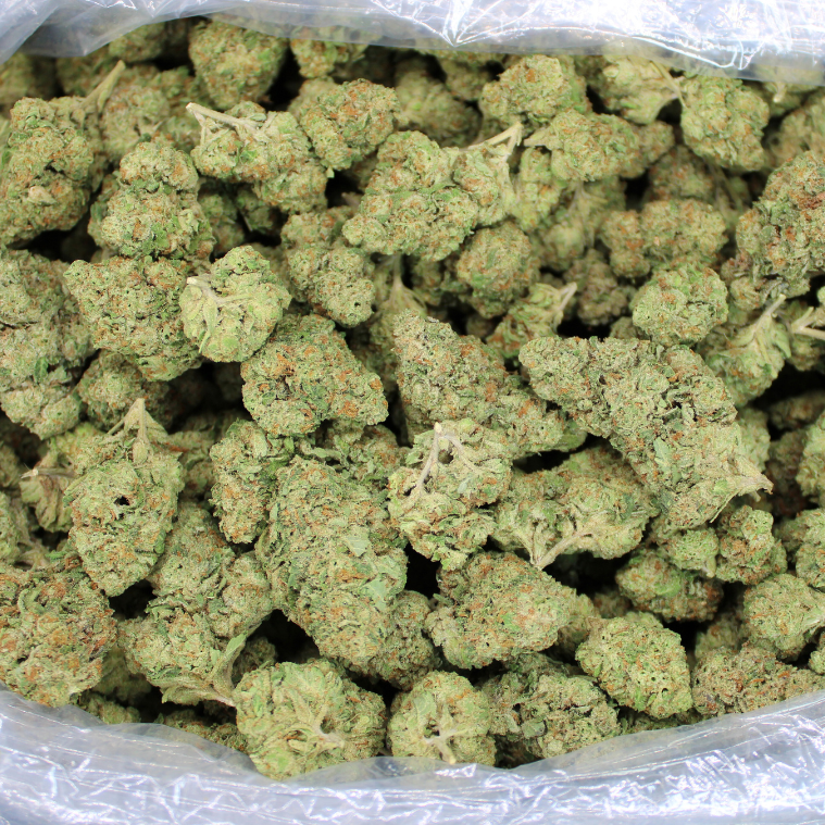 Larry Bird Gelato THCA Flower