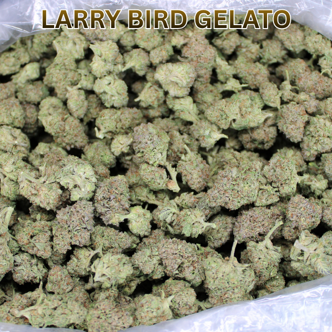 Larry Bird Gelato THCA Flower