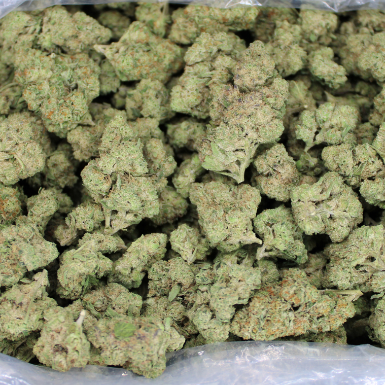 Lemon Cherry Sherb THCA Flower