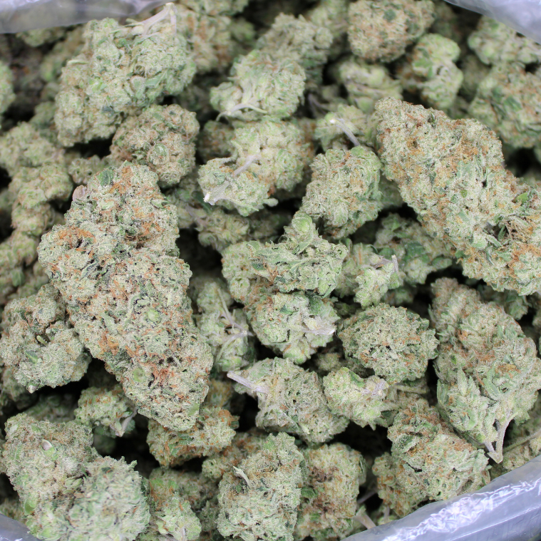 Lemon Créme THCA Flower