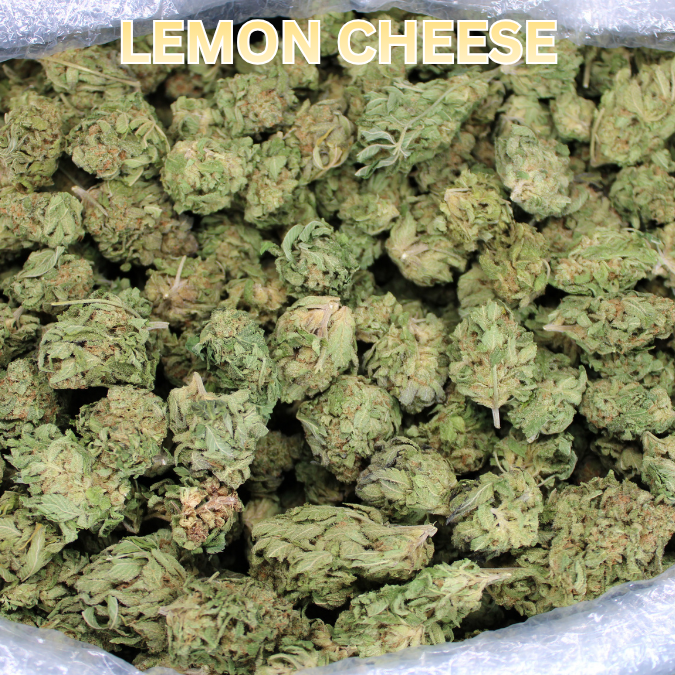 Bulk THCA Flower Pounds