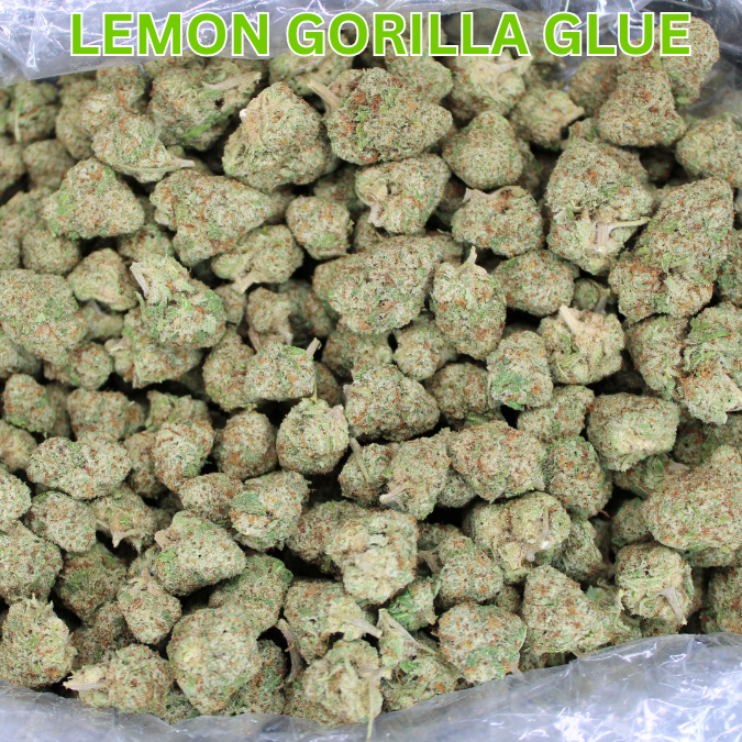 Lemon Gorilla Glue THCA Flower
