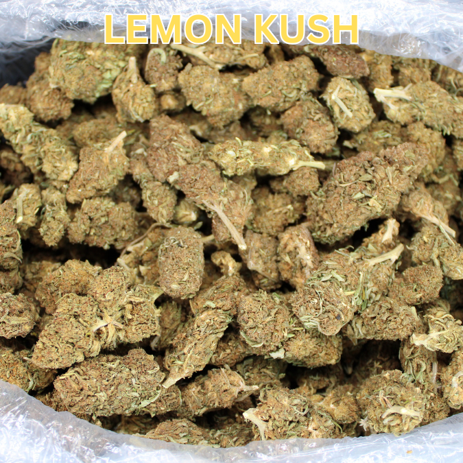 THCA Flower Budget Buds
