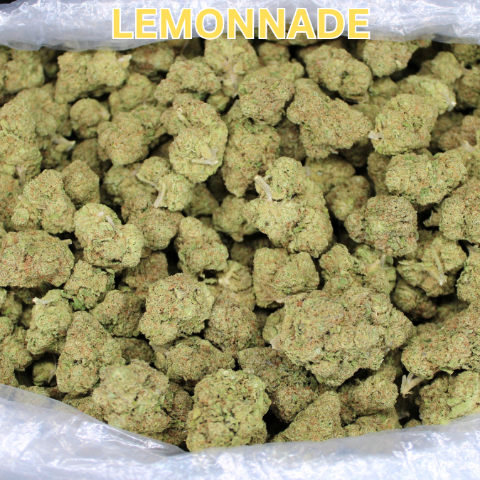 Cheap Indoor THCA Flower Ounce