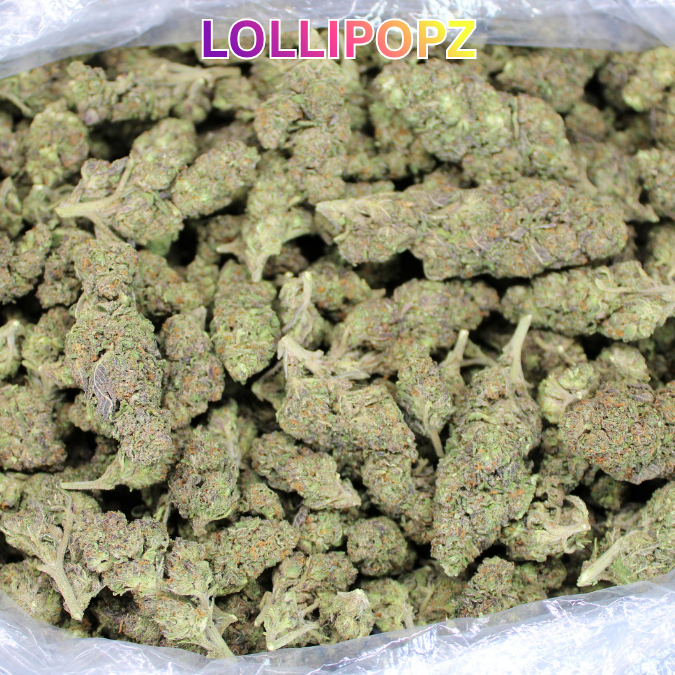 Cheap Indoor THCA Flower Ounce