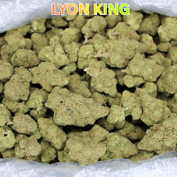 Lyon King THCA Flower