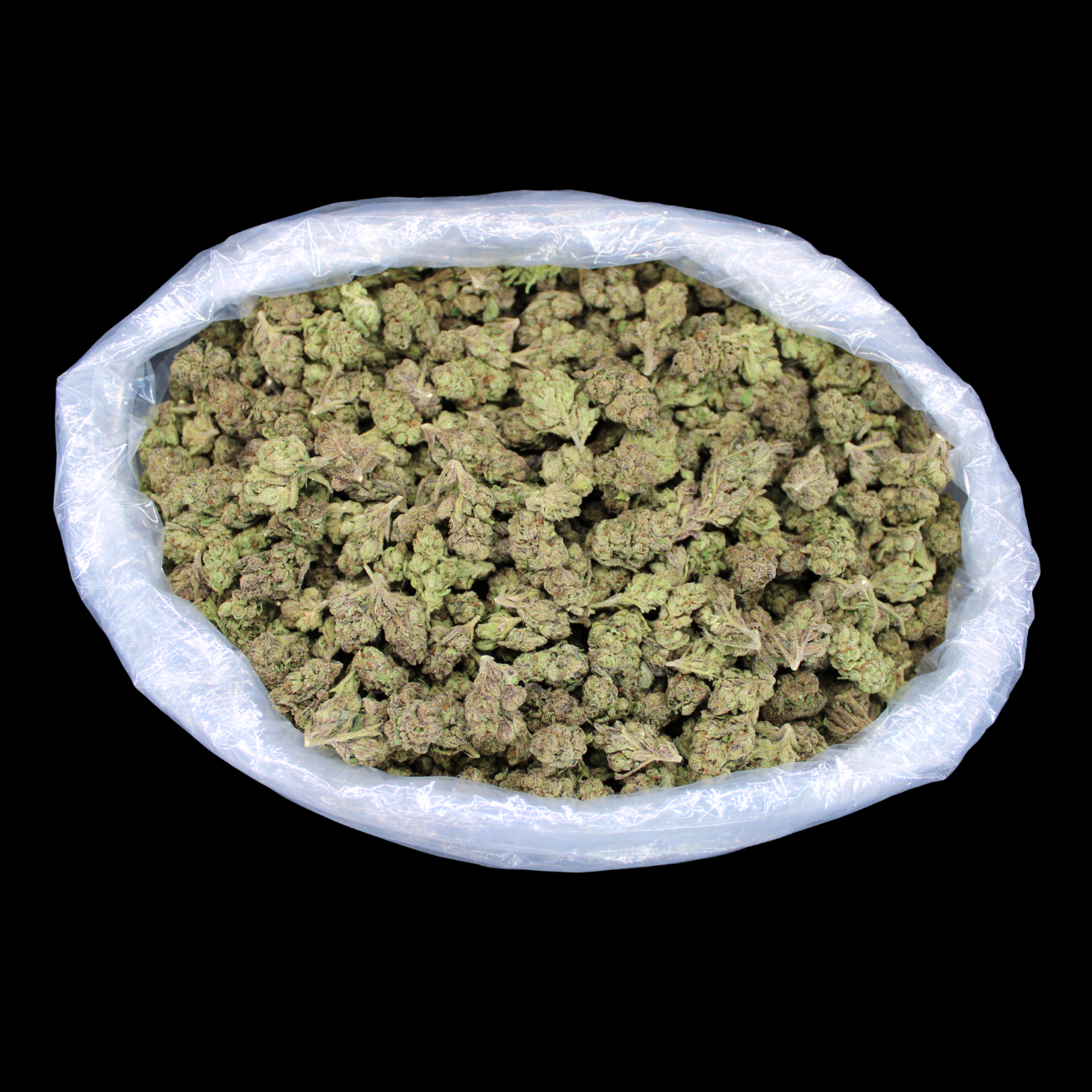Money Over Bitches (MOB) THCA Flower