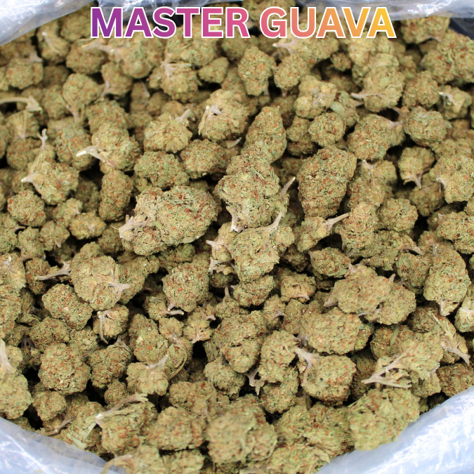 Cheap THCA Flower Ounce