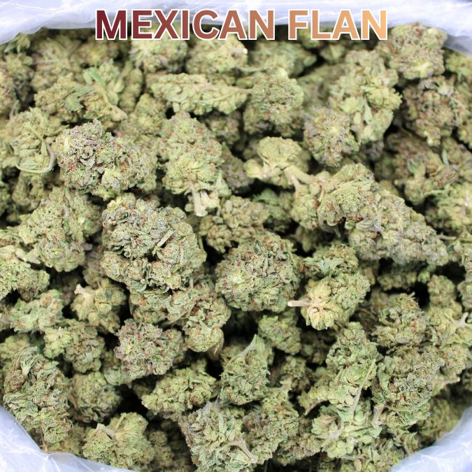 Cheap THCA Flower Pound