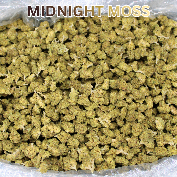 Toad Crossing THCA Flower