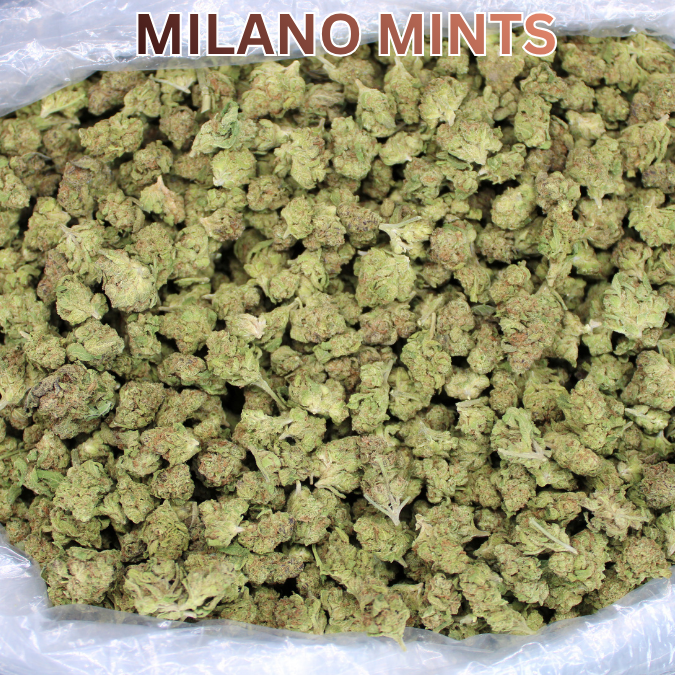 Light Assist THCA Smalls