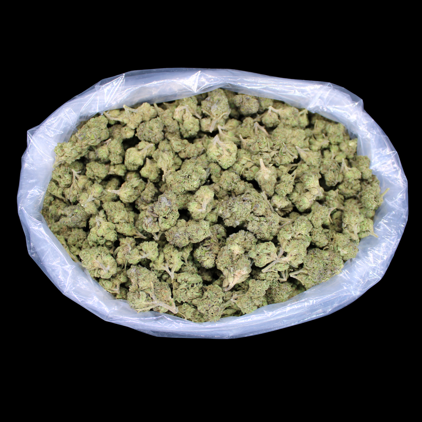 Money Over Bitches (MOB) THCA Flower