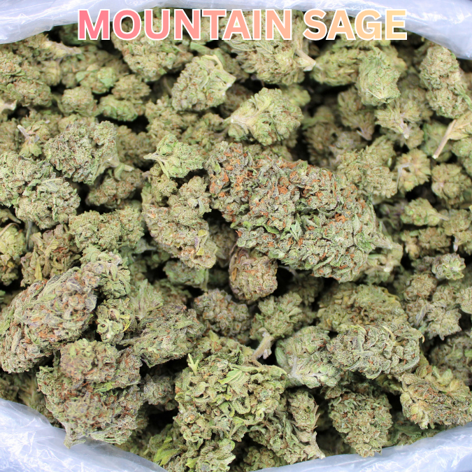 Cheap THCA Flower Ounce
