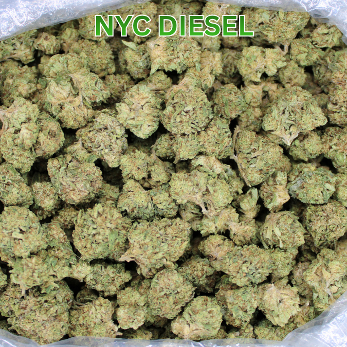 NYC Diesel THCA Flower