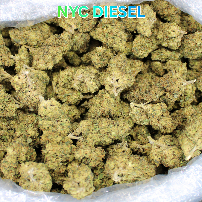 NYC Diesel THCA Flower