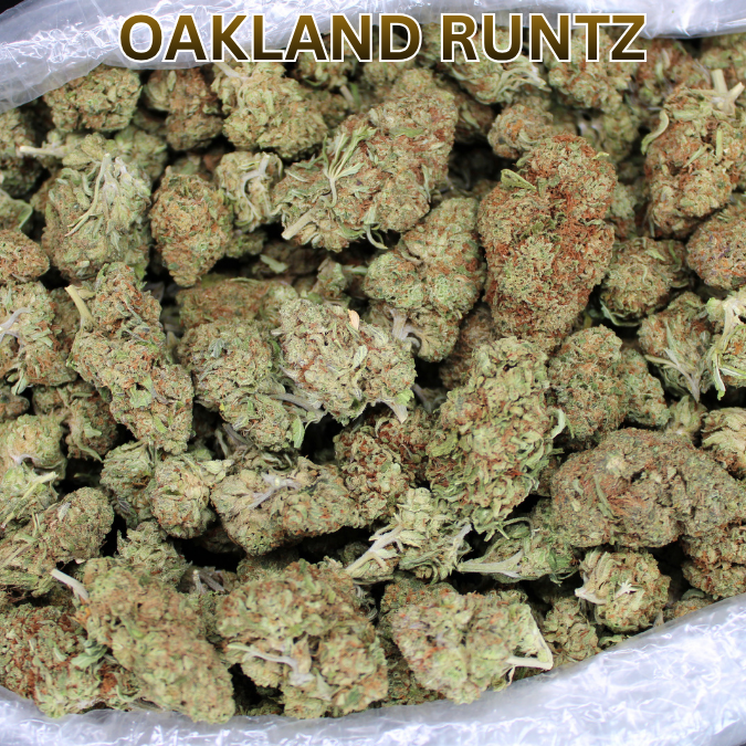Cheap THCA Flower Quarter Pound