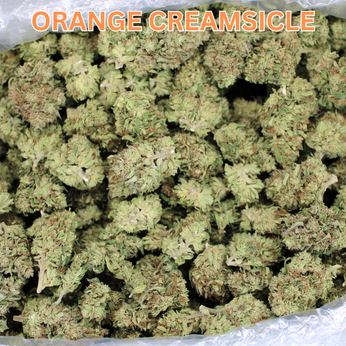 Cheap THCA Flower Quarter Pound