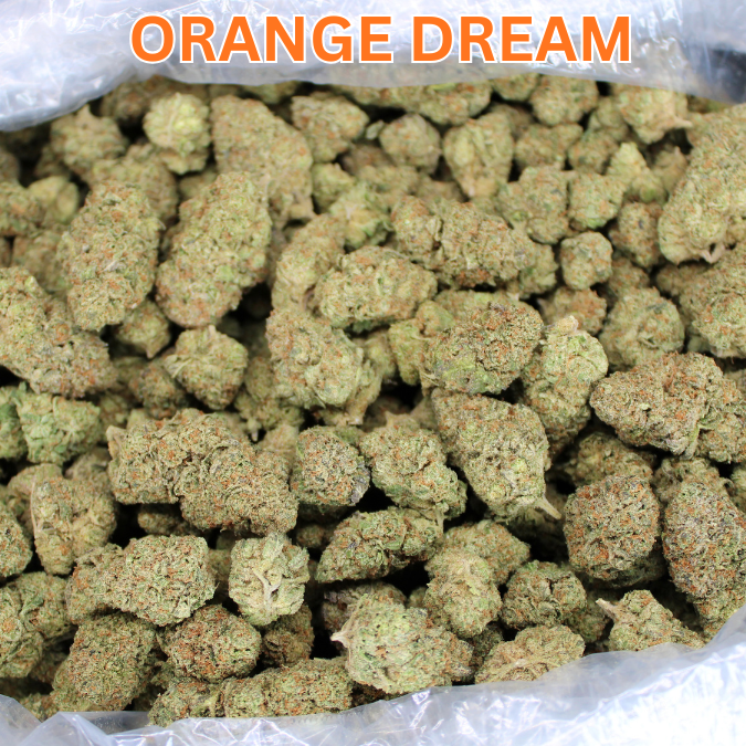 Orange Dream THCA Flower