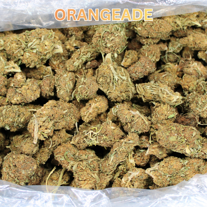 THCA Flower Budget Buds