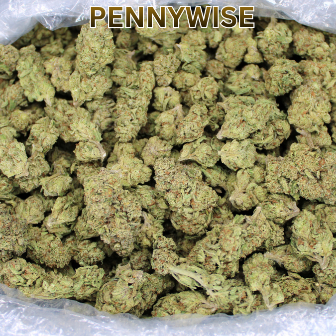 Cheap THCA Flower Half Pound