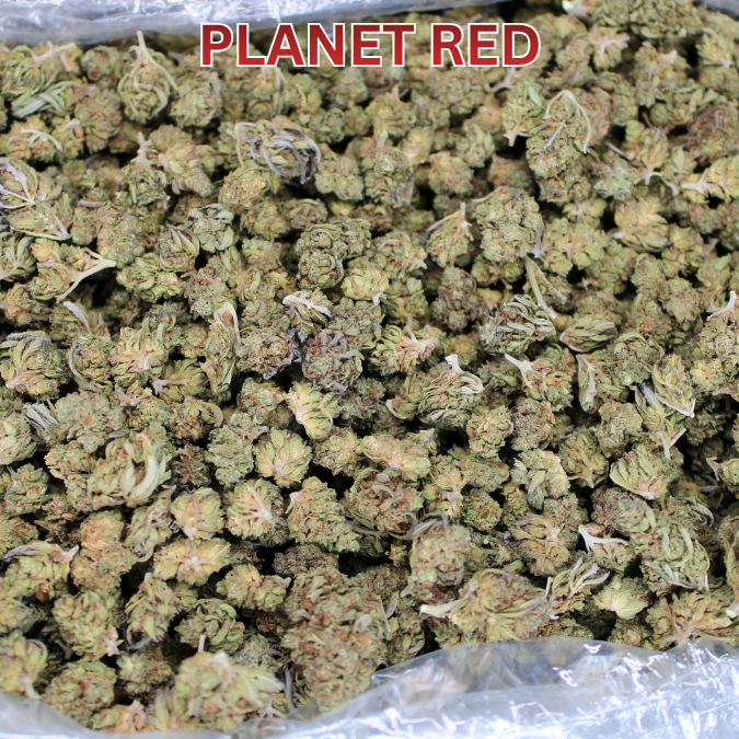 Cheap THCA Smalls Quarter Pound