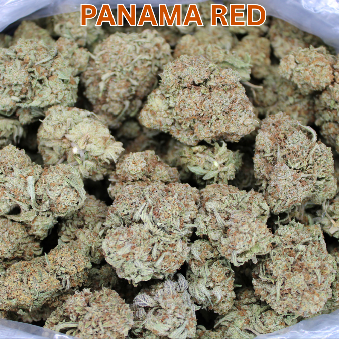 Panama Red THCA Flower