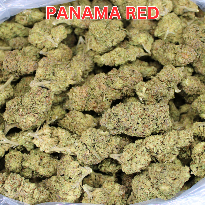 Panama Red THCA Flower