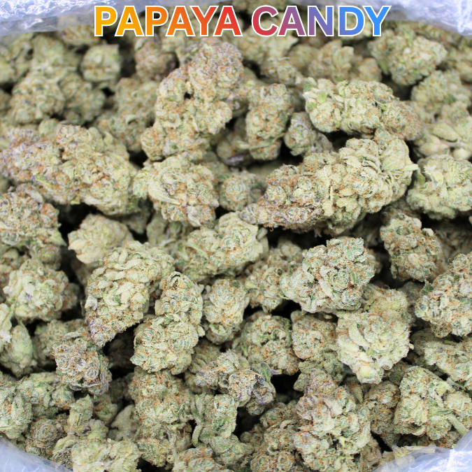 Cheap Indoor THCA Flower Ounce