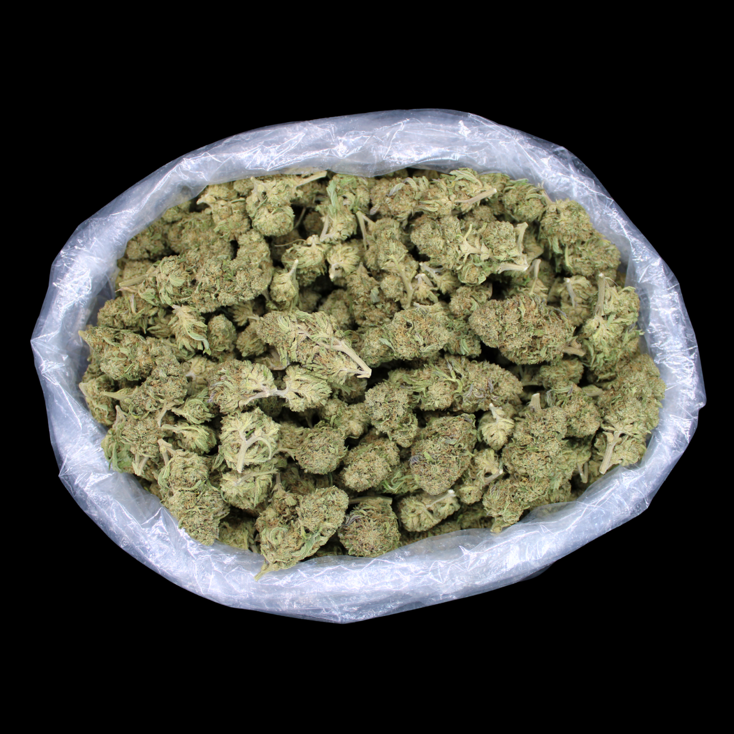Papaya Dream THCA Flower