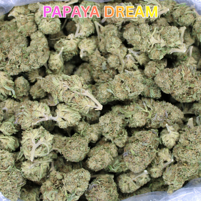 Papaya Dream THCA Flower