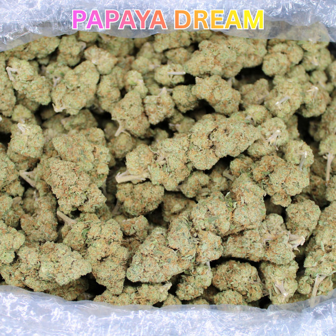 Papaya Dream THCA Flower