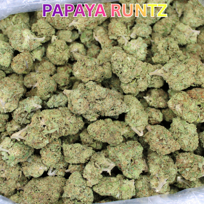 Papaya Runtz THCA Flower