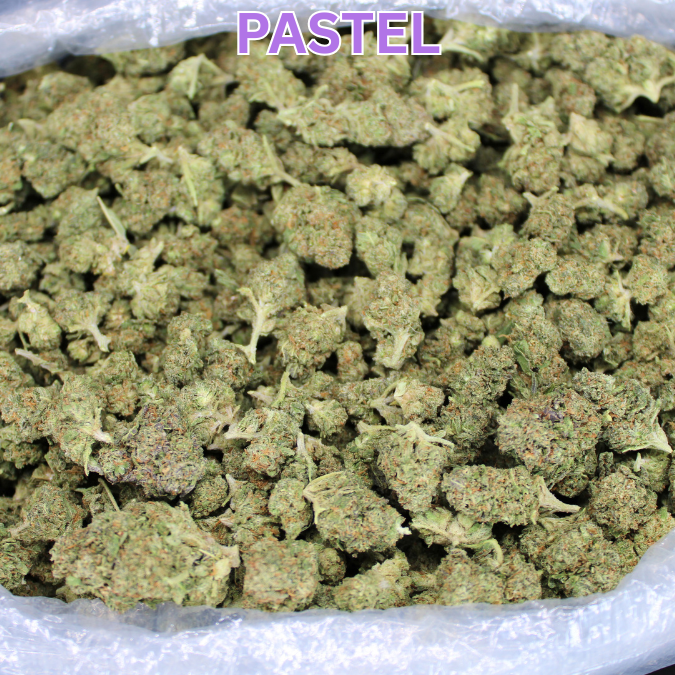 Cheap THCA Flower Half Pound