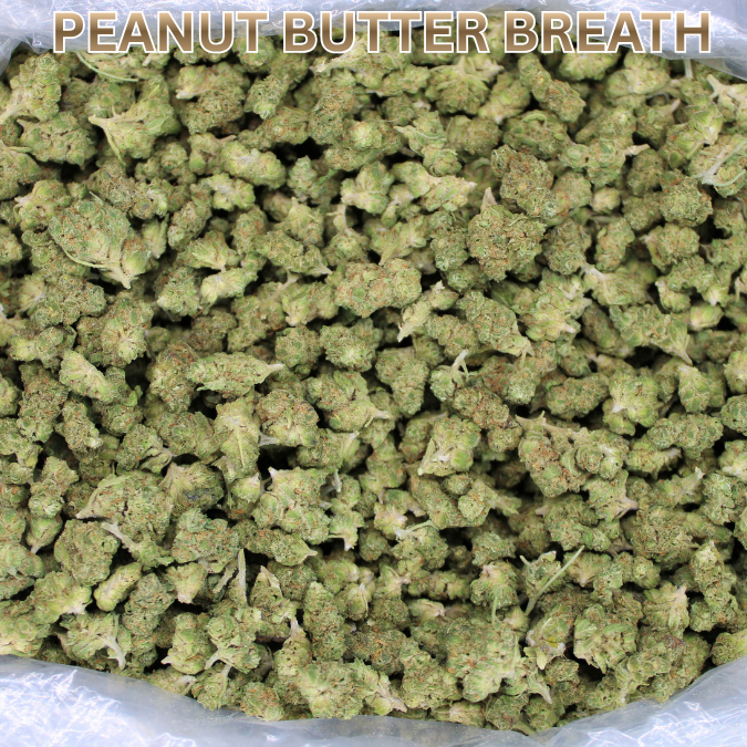 Light Assist THCA Smalls