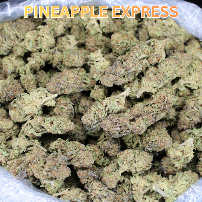 Pineapple Express THCA Flower