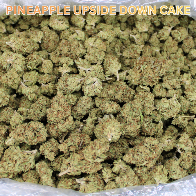 Cheap THCA Flower Quarter Pound