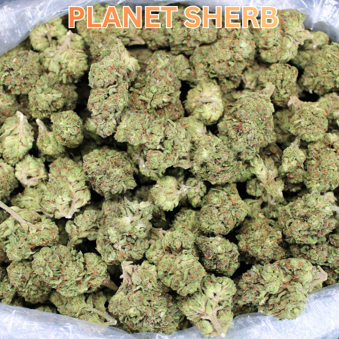 Cheap THCA Flower Half Pound