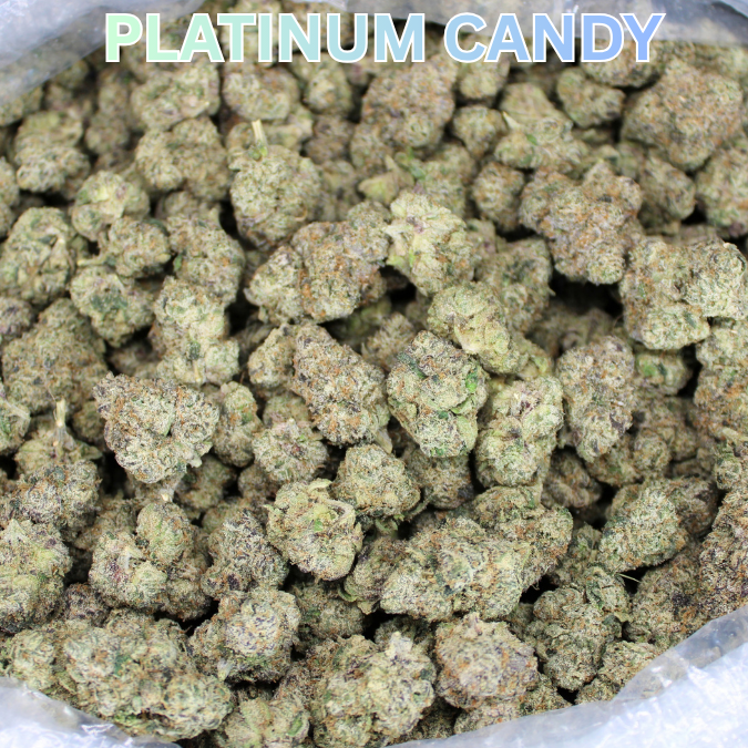 Exotic Indoor Express THCA Flower (7 Grams)