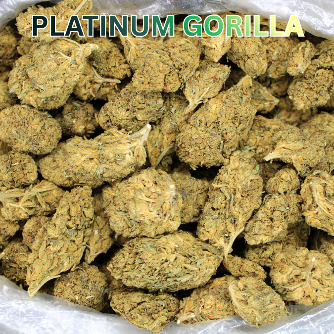 Cheap THCA Flower Ounce