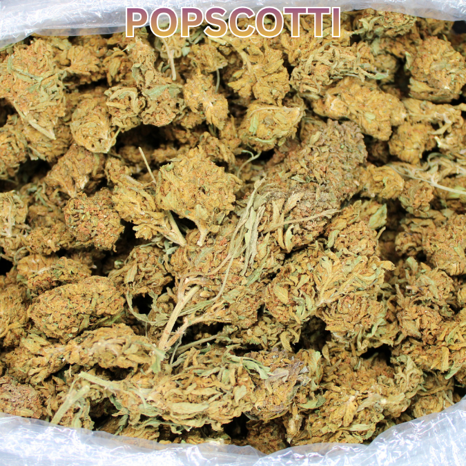 THCA Flower Budget Buds