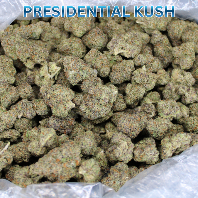Cheap Indoor THCA Flower Ounce