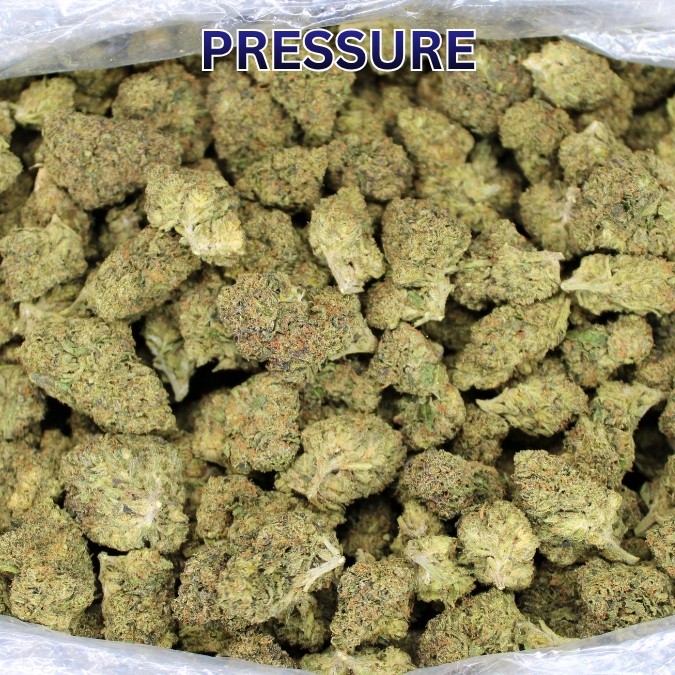 Cheap Indoor THCA Flower Ounce