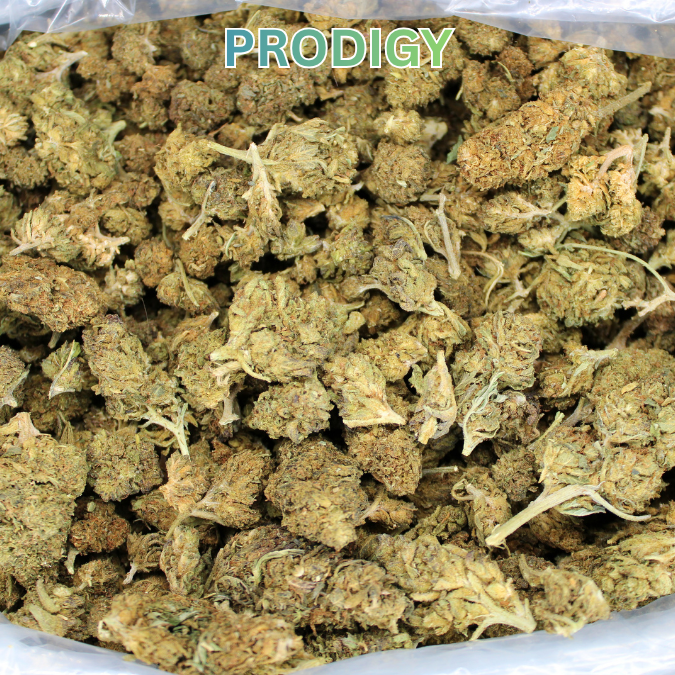 THCA Flower Budget Buds