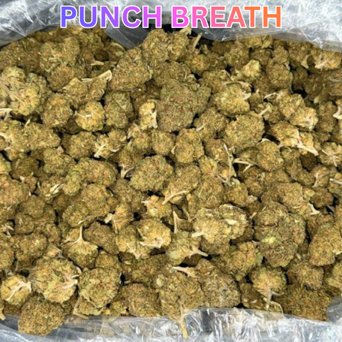 Cheap THCA Smalls Pound