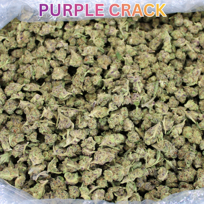 Cheap THCA Smalls Quarter Pound