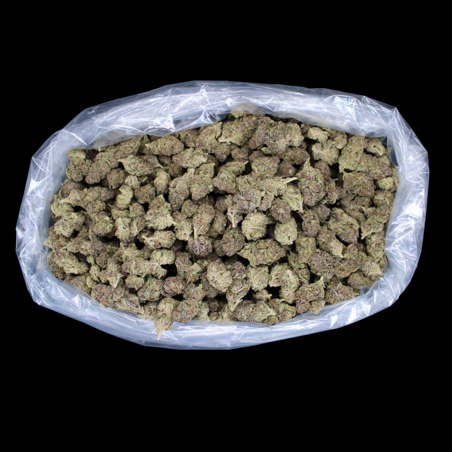 Purple Lantz THCA Flower