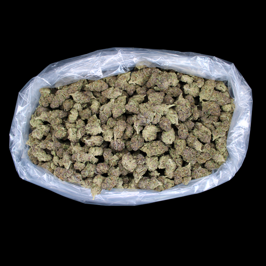 Purple Lantz THCA Flower